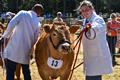 Malton Show 2018