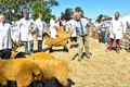 Malton Show 2018