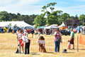 Malton Show 2018