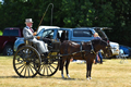 Malton Show 2018