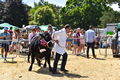 Malton Show 2018