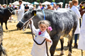 Malton Show 2018