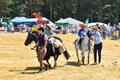 Malton Show 2018