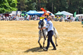 Malton Show 2018