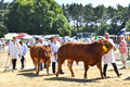 Malton Show 2018