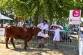 Malton Show 2018