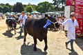 Malton Show 2018