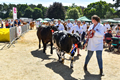 Malton Show 2018