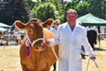 Malton Show 2018