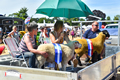 Malton Show 2018