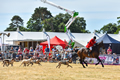 Malton Show 2018