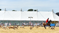 Malton Show 2018