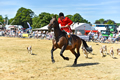 Malton Show 2018