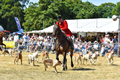 Malton Show 2018