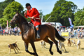 Malton Show 2018