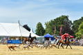 Malton Show 2018