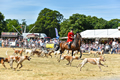 Malton Show 2018