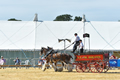 Malton Show 2018