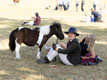 Malton Show 2025