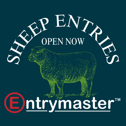 Enter Sheep classes online